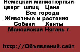 Немецкий миниатюрный(цверг) шпиц › Цена ­ 50 000 - Все города Животные и растения » Собаки   . Ханты-Мансийский,Нягань г.